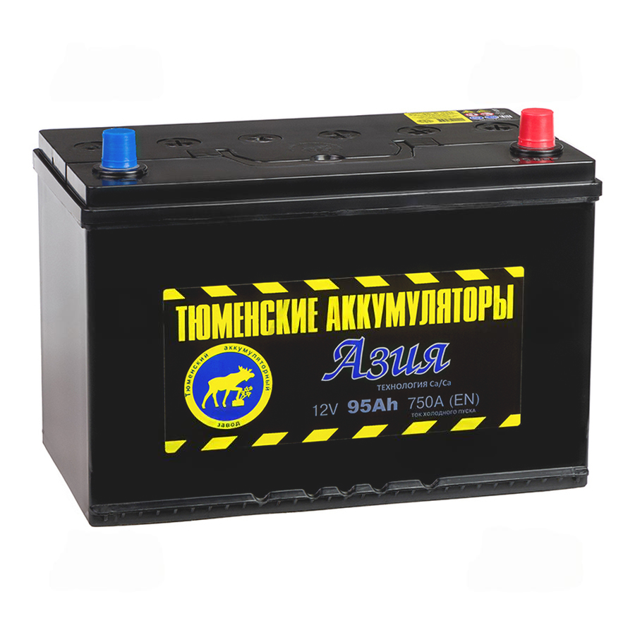 807-807-tyumen_battery_asia_95_ach_obr_pol_750a_(302x173x225)