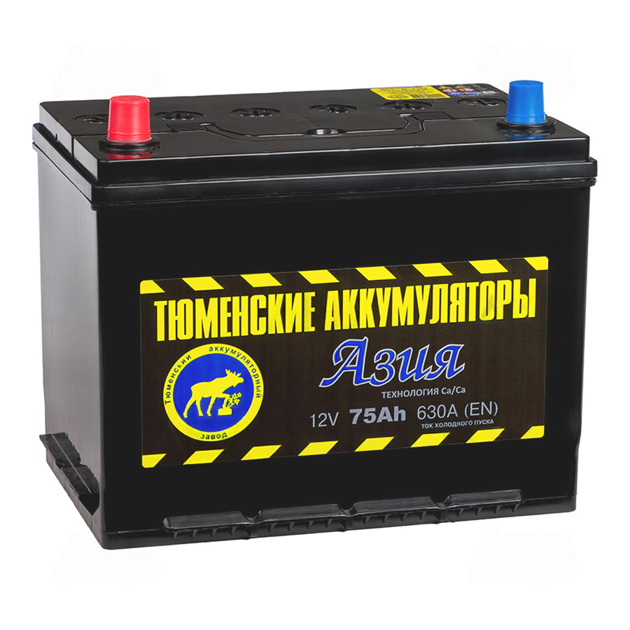805-805-tyumen_battery_asia_75_ach_pryam_pol_630a_(266x173x225)