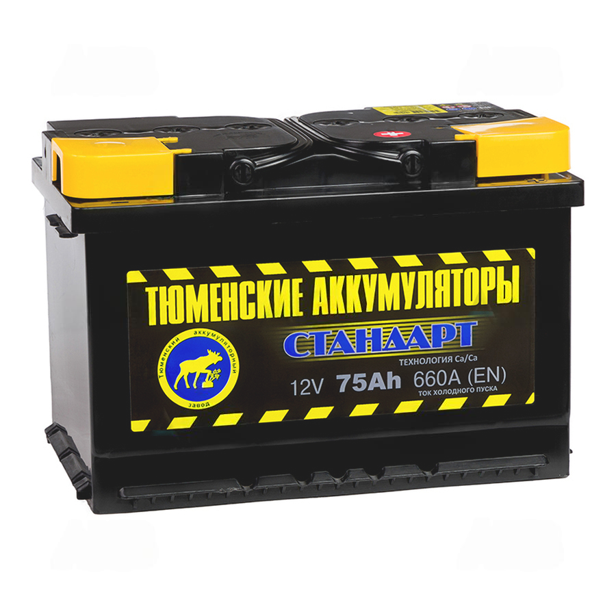 323-323-tyumen_battery_standard_75_ach_obr_pol_660a_(278x175x190)