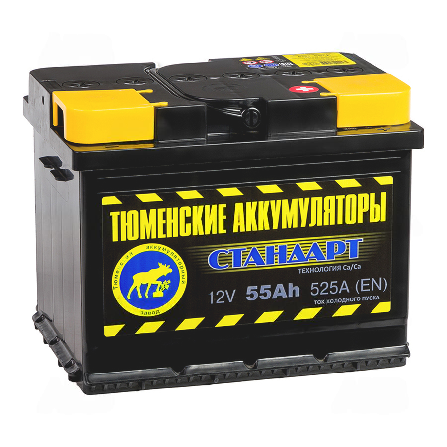 1179-1179-tyumen_battery_standard_55_ach_obr_pol_525a_(242x175x190) (1)