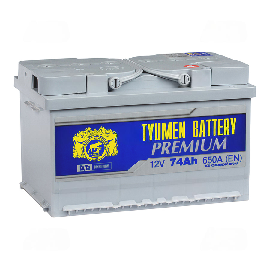 1440-1440-tyumen_battery_premium_74_ach_obr_pol_nizkiy_650a_(278x175x175)