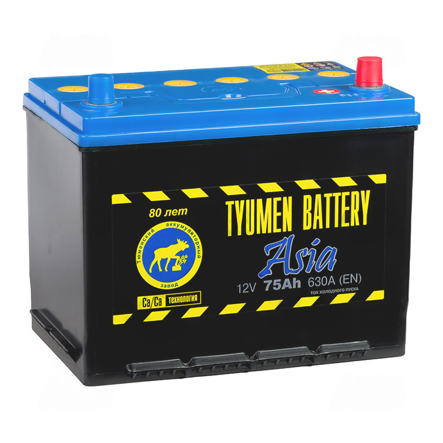 804-804-tyumen_battery_asia_75_ach_obr_pol_630a_(266x173x225)