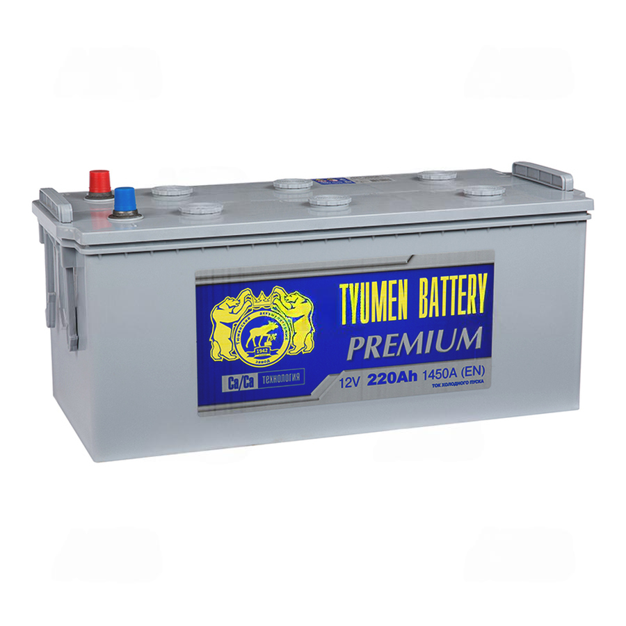 91754-91754-tyumen_battery_premium_220_ach_obr_pol_1450a_(518x228x236)