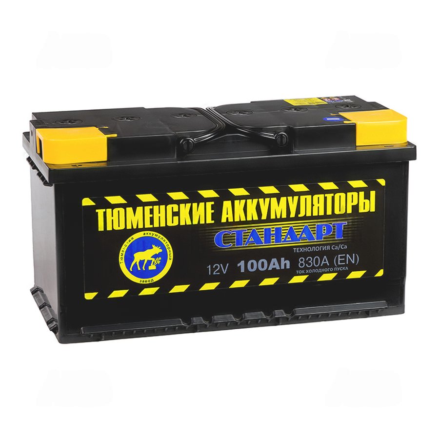 405-405-tyumen_battery_standard_100_ach_pryam_pol_830a_(353x175x190)
