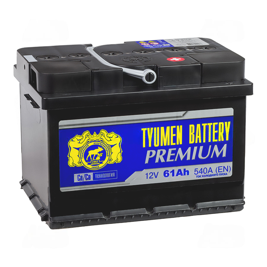 92210-92210-tyumen_battery_premium_61_ach_obr_pol_nizkiy_540a_(242x175x175)