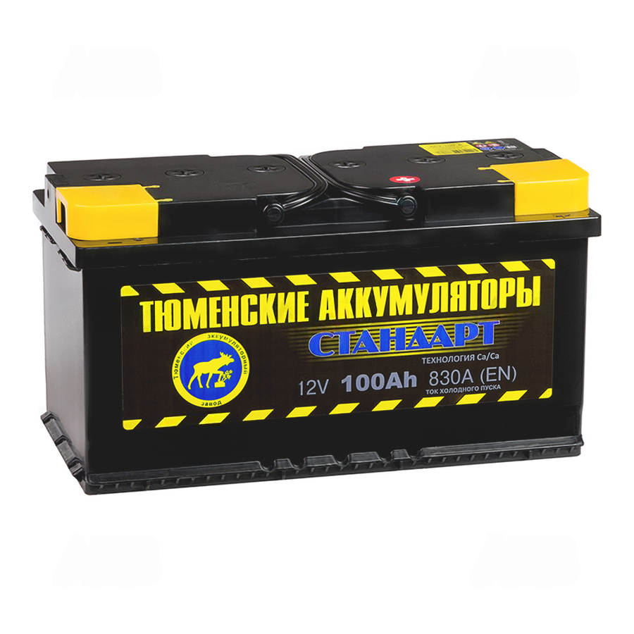 315-315-tyumen_battery_standard_100_ach_obr_pol_830a_(353x175x190)
