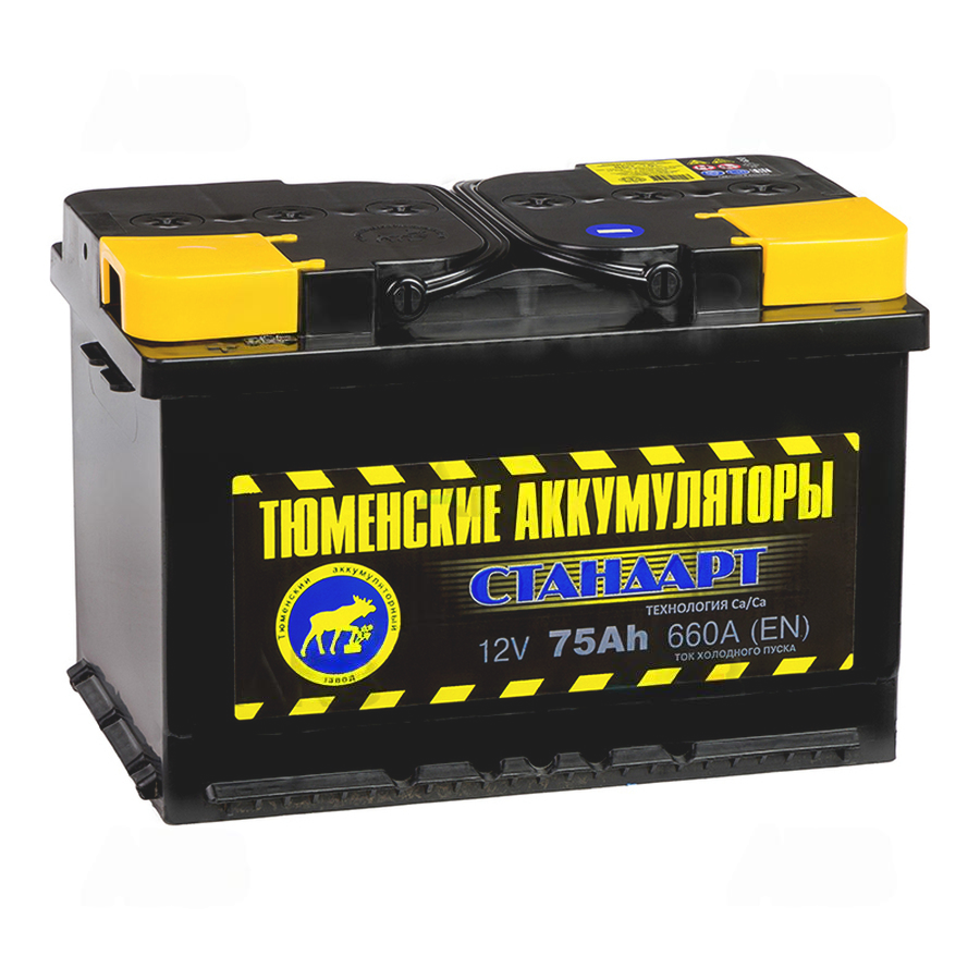 322-322-tyumen_battery_standard_75_ach_pryam_pol_660a_(278x175x190)