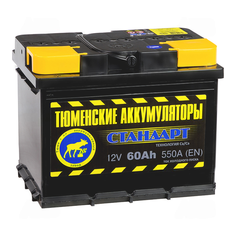 319-319-tyumen_battery_standard_60_ach_pryam_pol_550a_(242x175x190)