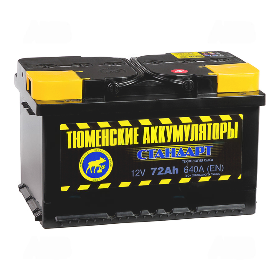1113-1113-tyumen_battery_standard_72_ach_obr_pol_nizkiy_640a_(278x175x175)