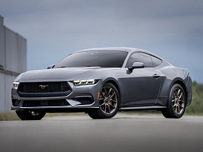 Мустанг / Mustang
