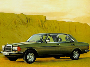 1975–1985 (1975-1985)