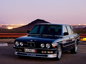 1981–1985 (1981-1985)