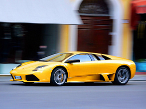 мурселаго / Murcielago