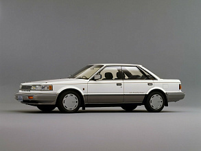 Блюберд Максима / Bluebird Maxima