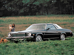 I (1973-1977)